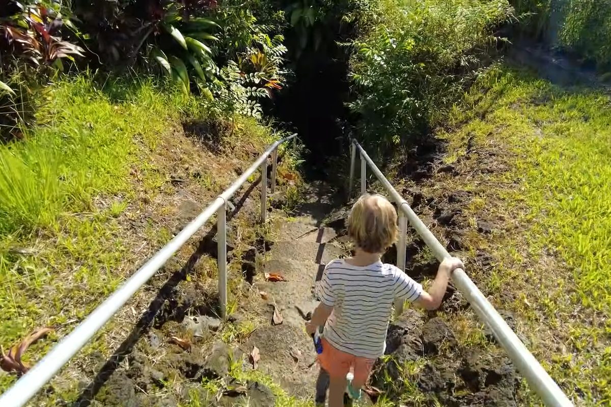 A child on a jungle trail