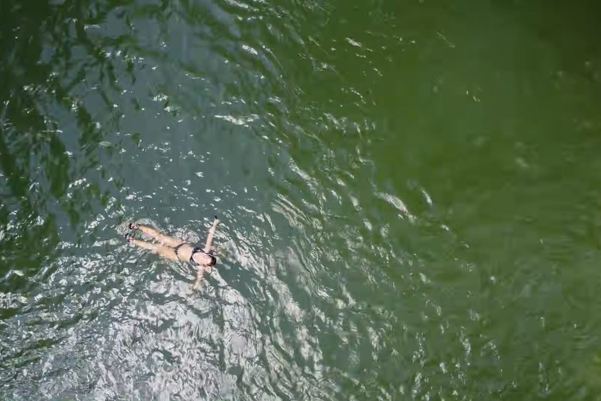 Floating in a jungle pool, seen from above
