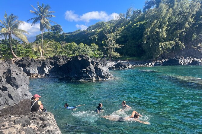 Swimmers in a rocky cove under the palms