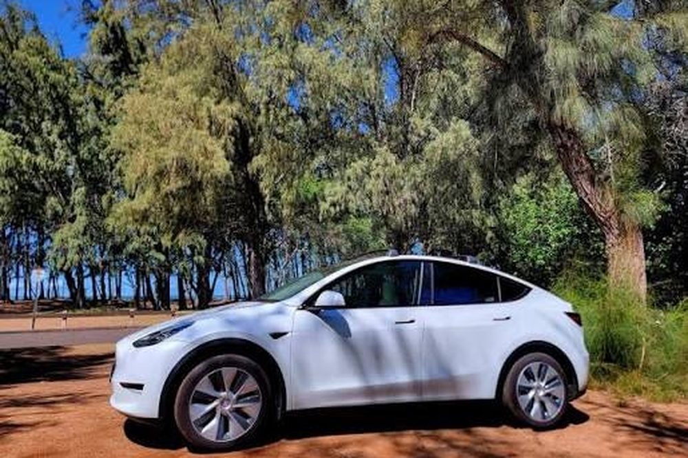 White Tesla Model Y parked under ironwood trees near a Maui beach